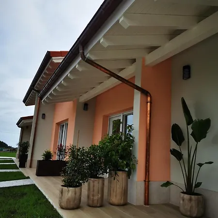 La Alegria De La Huerta * 쿠딜레로